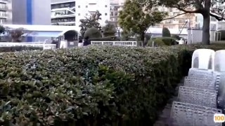 SCI一区和二区
